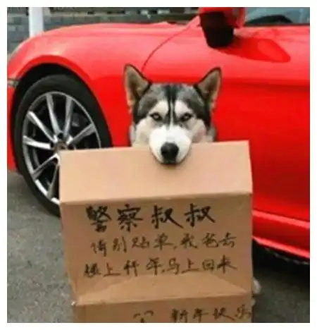 每日一笑大妹子,这是古装剧,你怎么还穿着网袜呢

