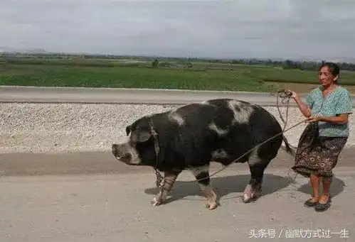 幽默笑话我们家我都找不到钱,您更找不到,这一百块钱给您零花
