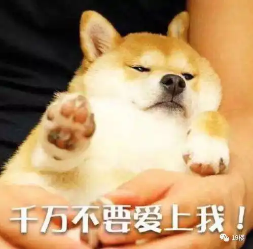 好怕怕的搞笑图片搞笑图