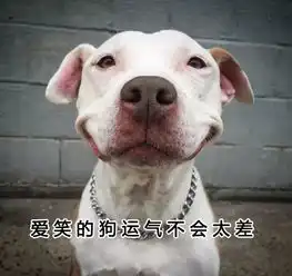 冷大侠你好大胆子,提前泄露地王豪庭户型图

