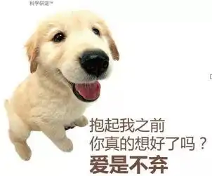 狗年来袭,抱只狗狗回家过年吧邀爱您文明养犬公益宣传活动
