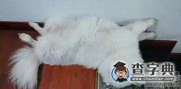 我跟墙壁有个约会搞笑图片
