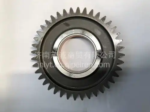 080v02310