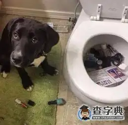 主人你看,我帮你把东西都洗了一遍呢搞笑图片
