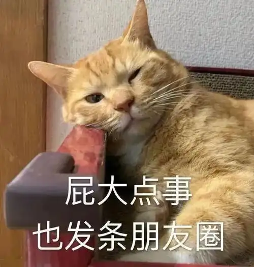 笑掉大牙40句沙雕搞笑文案,开心不能憋着
