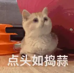 快过年了,我的皮肤怎么还是这么差
