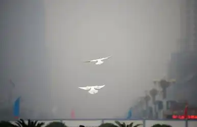 中国评论新闻盘点各地雾霾奇观别有一番滋味

