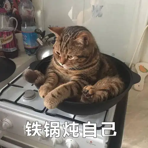 男神找我聊天,只是想偷表情包...
