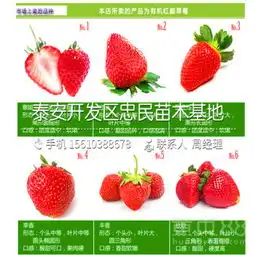 北京黄页88网