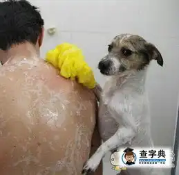 客官,您还需要什么服搞笑图片
