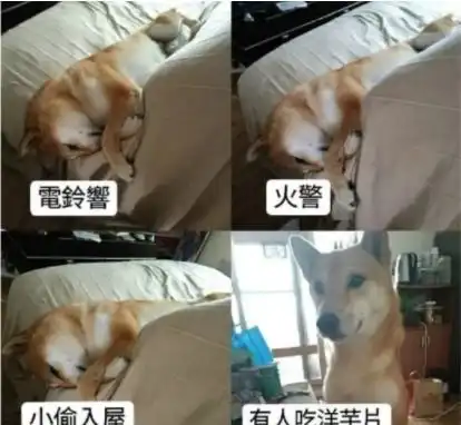 开心笑话邻居家是一对小夫妻,开着门在吃火锅
