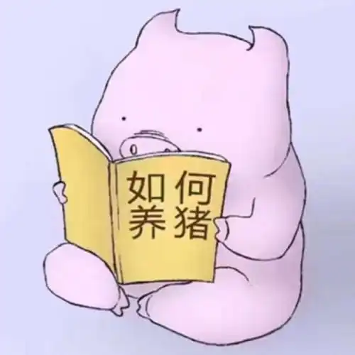 黄色胖猪猪