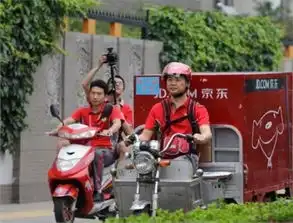 双十一前夕,马云和菜鸟挖苦某东做物流亏损300亿
