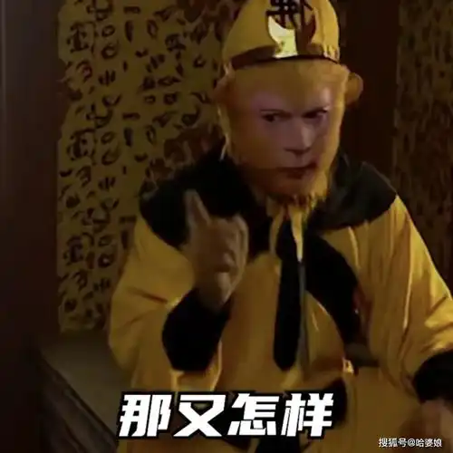 女孩子专用傲娇大师兄成套表情包
