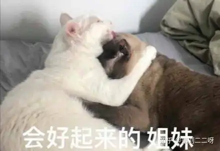 女生153,102算胖吗
