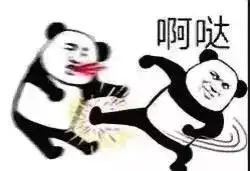 套路表情包你过来,有个小秘密和你说

