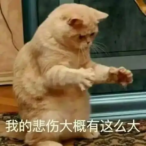 会被偷走的沙雕可爱表情包
