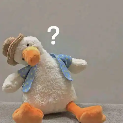 我妈问我的土琵琶为什么不弹了
