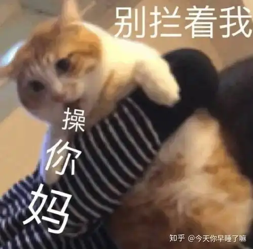 有哪些很精辟的祖安名言
