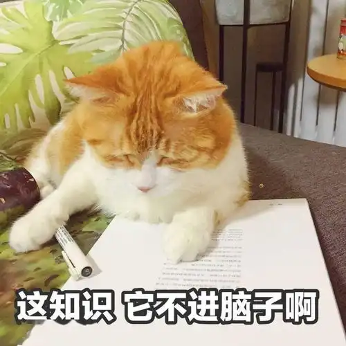 lisa被前经纪人骗钱骗房,骗拍裸照的坑经纪还有这些
