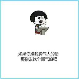 幽默图片搞笑段子如果你嫌我脾气大,那你就去找个漏气的吧
