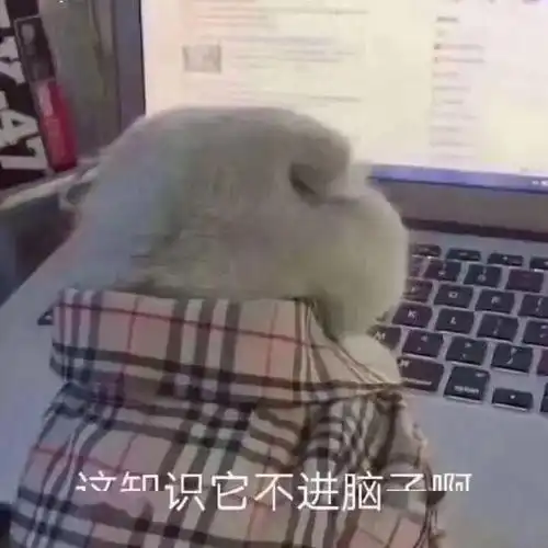 知识装不进脑子表情包