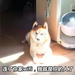 柴犬撩妹表情包你知道我最喜欢什么制服吗被你制服
