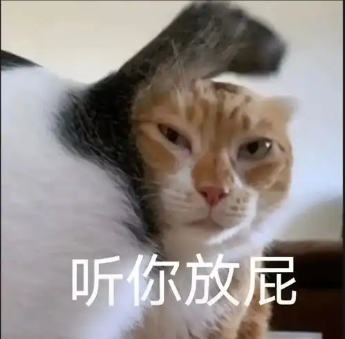 这多少有点病丨第962期喵表情包
