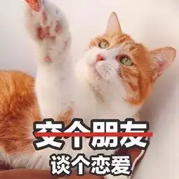 猫咪搞笑图片带字