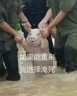 救命,足足300斤真nba壮圆郎
