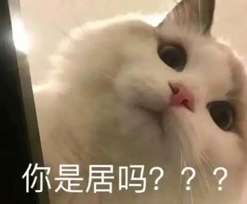 我的爱情呢
