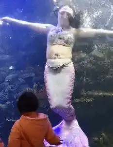 搞笑身为一个美人鱼,我皮下脂肪丰富是很合理
