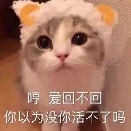 我还有机会吗