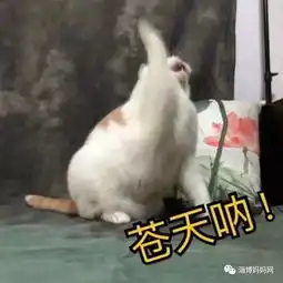 小学生试题惊现双十一定金膨胀比水池放水有趣太多...
