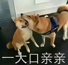 五黑一起的有没有我铂金二昭君玩的贼六
