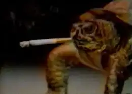 盘点全球搞笑动物猴子抽烟酷劲十足科学探索
