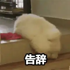 小编值班三分钟带你回顾笑望沧溟剧情
