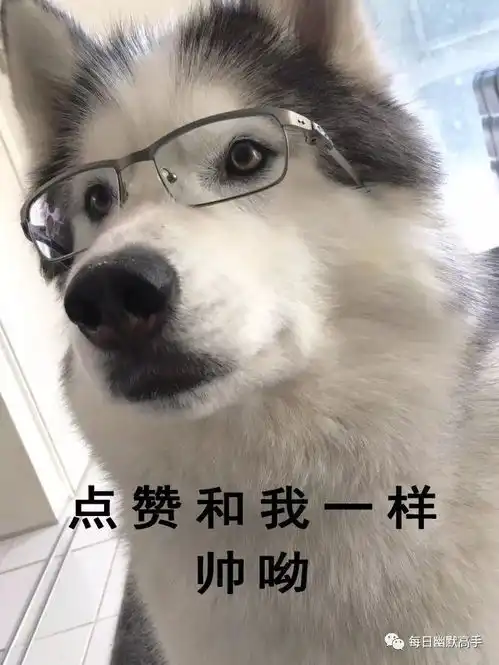 动不了,生气
