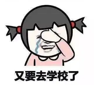 新学期启航了

