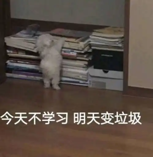 明天就是国庆考研的小伙伴们备考的时间不多了加油调整好状态
