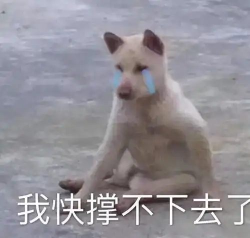 2020年字节秋招超万人那么程序员跳槽时,如何选择公司
