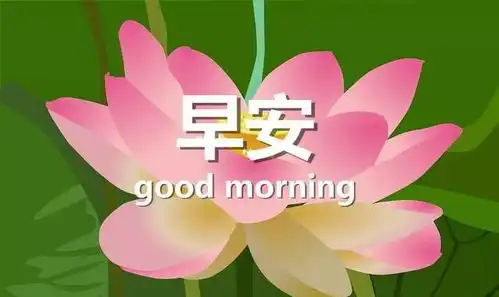 很潮很走心的早安心情说说句子,最新早安带字唯美图片
