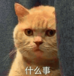 我妈不让我跟傻子玩表情包下载
