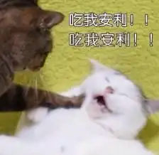 小s追剧暴哭,张歆艺追综艺激动p图,明星追起星来也是全套操作
