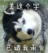 二哈表情包
