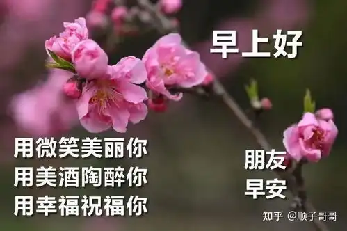 11月20日冬季早安问候语大全早上幽默问候祝福语句配图大全