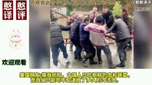 外国网友看中国人过年杀猪搞笑名场面
