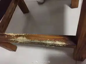 杭州姑娘遇奇葩房客搞卫生时被恶心到了
