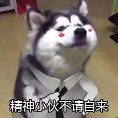 原来压缩图片有这3种方法1键按下,图片体积变小了,但依然清晰无损
