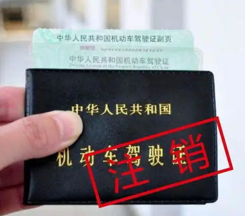 驾照上这4个字看仔细,否则一分没扣过,也被注销
